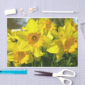 Gele Daffodil Flowers Tissuepapier (Craft)