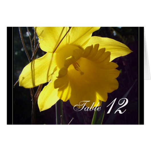 Gele daffodil-kaartje voor tafelgerei. (Voorkant Horizontaal)