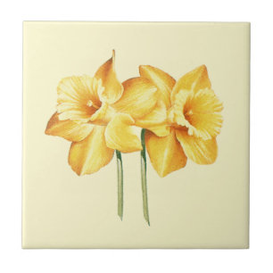Gele Daffodil Keramische Tegel Tegeltje