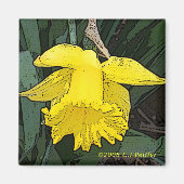 "gele daffodil" magneet (Voorkant)
