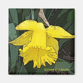 "gele daffodil" magneet