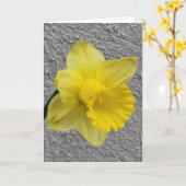 Gele Daffodil Moederdag Kaart (Gele Bloem)