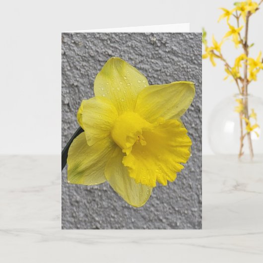 Gele Daffodil Moederdag Kaart (Gele Bloem)