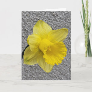 Gele Daffodil Moederdag Kaart