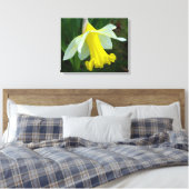 Gele Daffodil Verpakte Canvas Print (Insitu (Slaapkamer))
