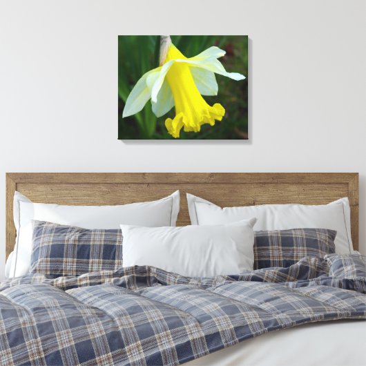 Gele Daffodil Verpakte Canvas Print (Insitu (Slaapkamer))