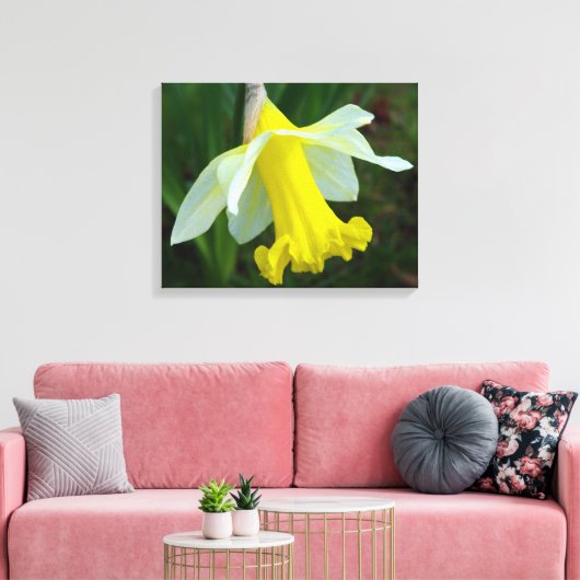 Gele Daffodil Verpakte Canvas Print (Insitu (Woonkamer))