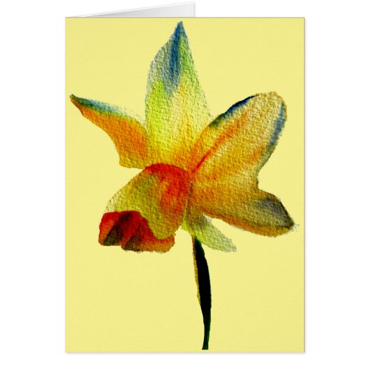 Gele Daffodil waterverf art Spring Flower (Voorkant)