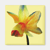 Gele Daffodil waterverf art Spring Flower Magneet (Voorkant)