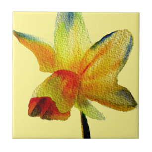 Gele Daffodil waterverf art Spring Flower Tegeltje