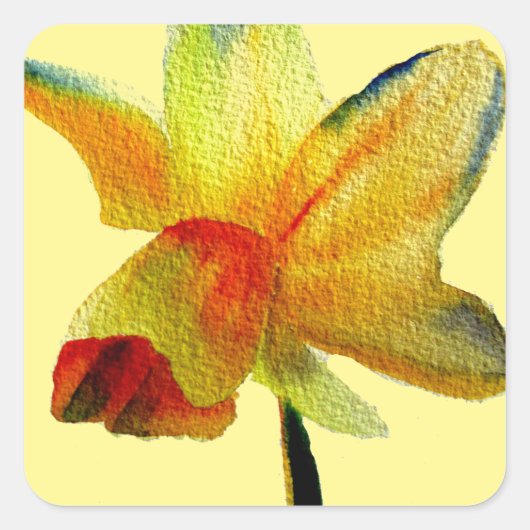 Gele Daffodil waterverf art Spring Flower Vierkante Sticker (Voorkant)