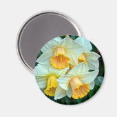 Gele daffodilbloemen magneet (Voorkant / Achterkant)