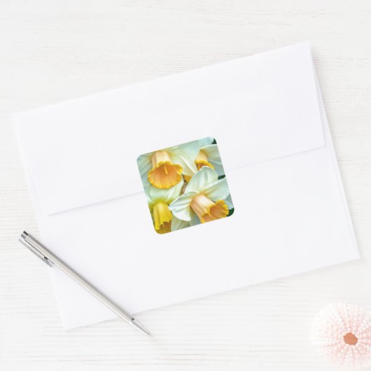 Gele daffodilbloemen vierkante sticker (Envelop)