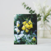 Gele Daffodils bloemen in de sneeuw Briefkaart (Staand voorkant)