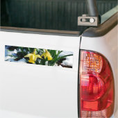 Gele Daffodils bloemen in de sneeuw Bumpersticker (Op Truck)