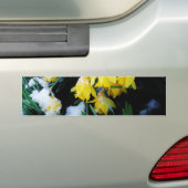 Gele Daffodils bloemen in de sneeuw Bumpersticker (Op auto)