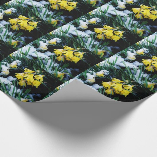 Gele Daffodils bloemen in de sneeuw Cadeaupapier (Hoek)