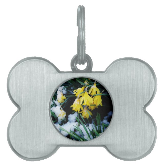 Gele Daffodils bloemen in de sneeuw Huisdieren Naamplaatje (voorkant)