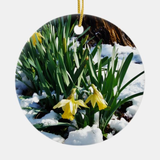 Gele Daffodils bloemen in de sneeuw Keramisch Ornament (Voorkant)