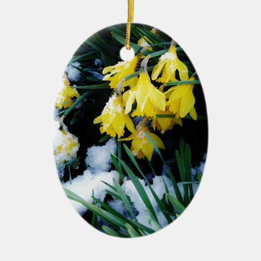 Gele Daffodils bloemen in de sneeuw Keramisch Ornament (Voorkant)