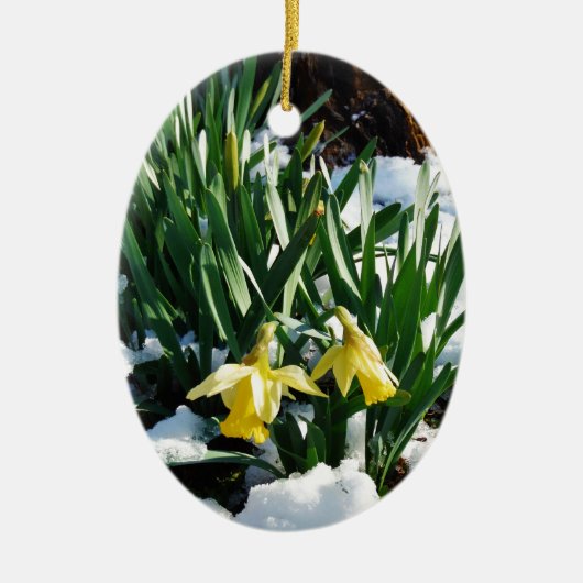 Gele Daffodils bloemen in de sneeuw Keramisch Ornament (Voorkant)