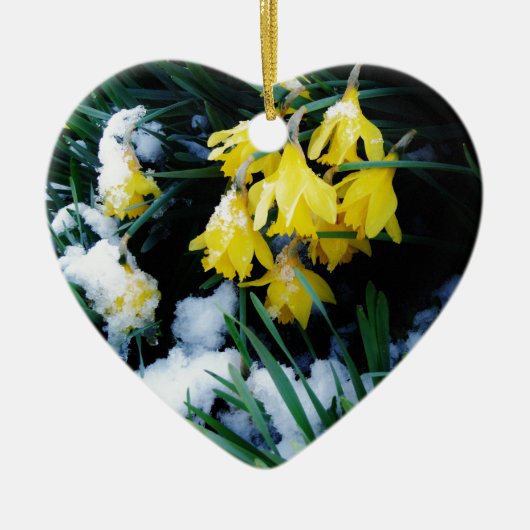 Gele Daffodils bloemen in de sneeuw Keramisch Ornament (Voorkant)
