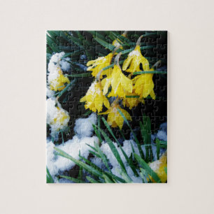 Gele Daffodils bloemen in de sneeuw Legpuzzel