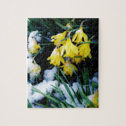 Gele Daffodils bloemen in de sneeuw Legpuzzel (Verticaal)