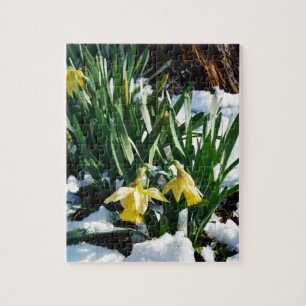 Gele Daffodils bloemen in de sneeuw Legpuzzel