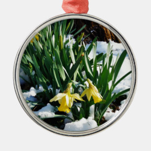 Gele Daffodils bloemen in de sneeuw Metalen Ornament