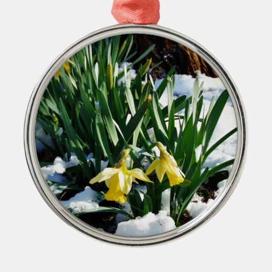 Gele Daffodils bloemen in de sneeuw Metalen Ornament (Voorkant)