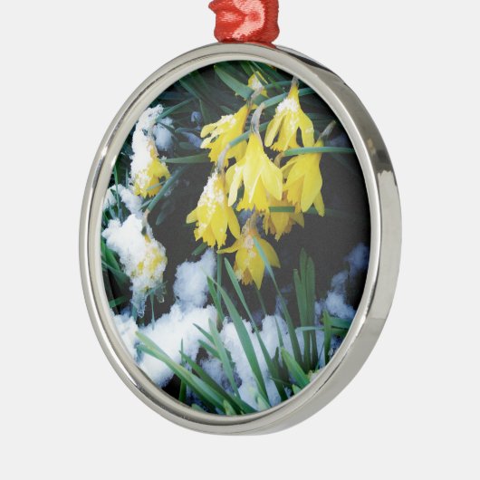 Gele Daffodils bloemen in de sneeuw Metalen Ornament (Links)