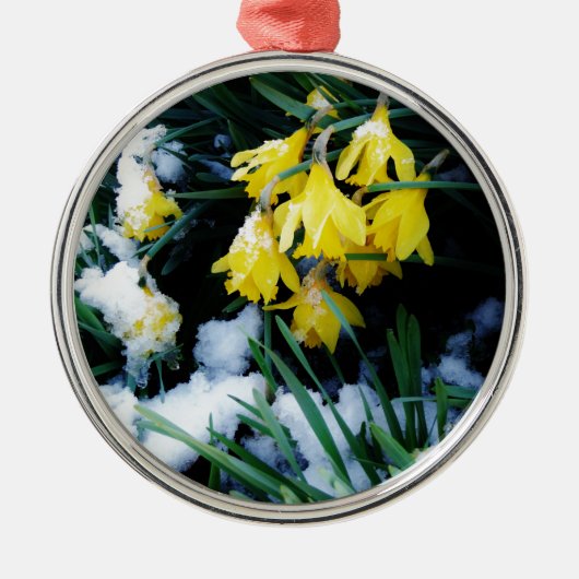 Gele Daffodils bloemen in de sneeuw Metalen Ornament (Voorkant)