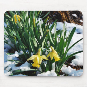 Gele Daffodils bloemen in de sneeuw Muismat