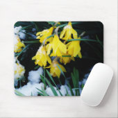 Gele Daffodils bloemen in de sneeuw Muismat (Met muis)