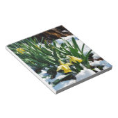 Gele Daffodils bloemen in de sneeuw Notitieblok (Schuin)
