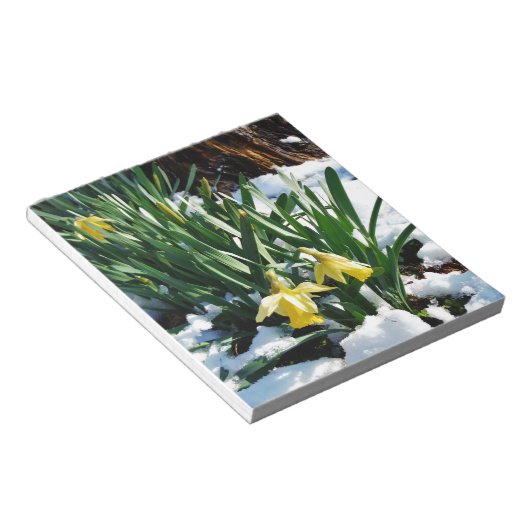 Gele Daffodils bloemen in de sneeuw Notitieblok (Schuin)