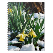 Gele Daffodils bloemen in de sneeuw Notitieboek (Voorkant)