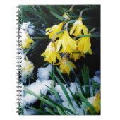 Gele Daffodils bloemen in de sneeuw Notitieboek (Voorkant)