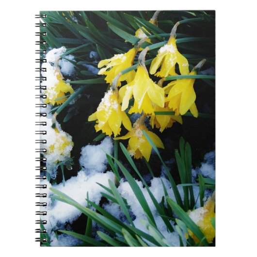 Gele Daffodils bloemen in de sneeuw Notitieboek (Voorkant)