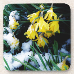 Gele Daffodils bloemen in de sneeuw Onderzetter