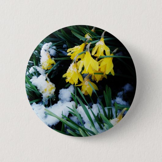 Gele Daffodils bloemen in de sneeuw Ronde Button 5,7 Cm (Voorkant)