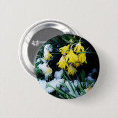 Gele Daffodils bloemen in de sneeuw Ronde Button 5,7 Cm (Voorkant /achterkant)
