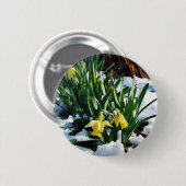 Gele Daffodils bloemen in de sneeuw Ronde Button 5,7 Cm (Voorkant /achterkant)