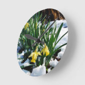 Gele Daffodils bloemen in de sneeuw Ronde Klok (Hoek)