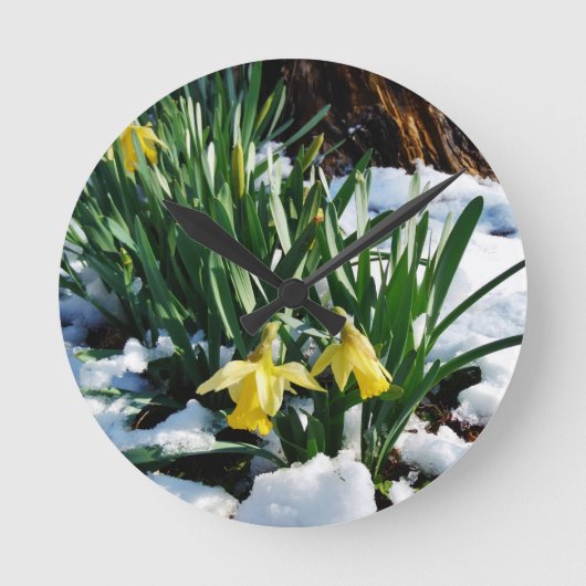 Gele Daffodils bloemen in de sneeuw Ronde Klok (Voorkant)