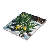 Gele Daffodils bloemen in de sneeuw Tegeltje (Zijkant)