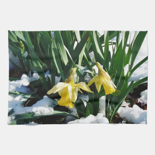Gele Daffodils bloemen in de sneeuw Theedoek (Horizontaal)