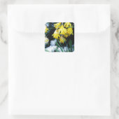 Gele Daffodils bloemen in de sneeuw Vierkante Sticker (Tas)