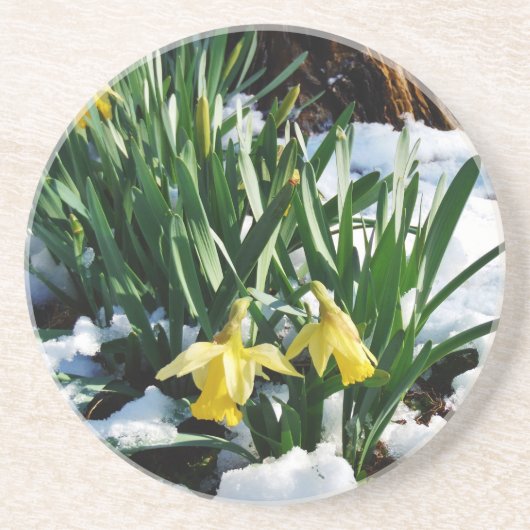 Gele Daffodils bloemen in de sneeuw Zandsteen Onderzetter (Voorkant)